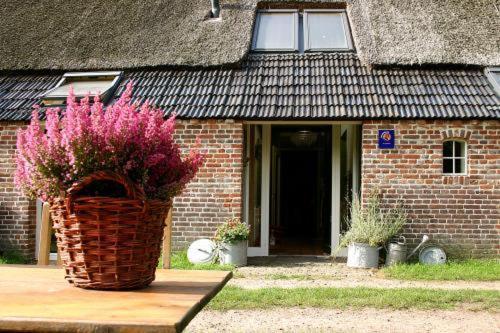 Bed And Breakfast Annen Exterior foto